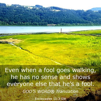 Picture 03 - Ecclesiastes 10:3 GW - Even when a fool goes walking, he has no sense - Bible Verse Picture