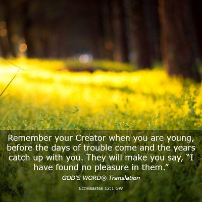 Picture 03 - Ecclesiastes 12:1 GW - Remember your Creator when you are young, before - Bible Verse Picture
