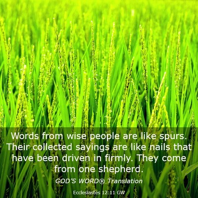 Picture 03 - Ecclesiastes 12:11 GW - Words from wise people are like spurs. Their - Bible Verse Picture