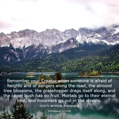 Picture 03 - Ecclesiastes 12:5 GW - Remember your Creator when someone is afraid of - Bible Verse Picture