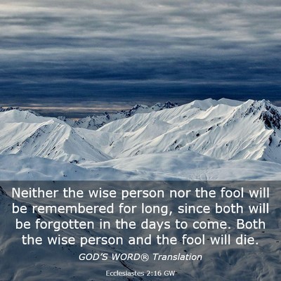 Picture 03 - Ecclesiastes 2:16 GW - Neither the wise person nor the fool will be - Bible Verse Picture