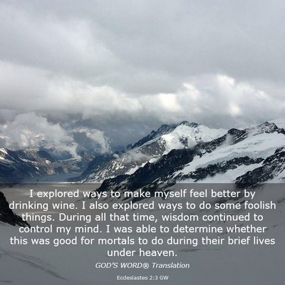 Picture 03 - Ecclesiastes 2:3 GW - I explored ways to make myself feel better by - Bible Verse Picture
