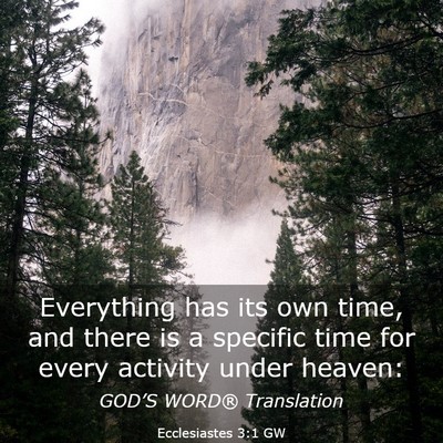 Picture 03 - Ecclesiastes 3:1 GW - Everything has its own time, and there is a - Bible Verse Picture