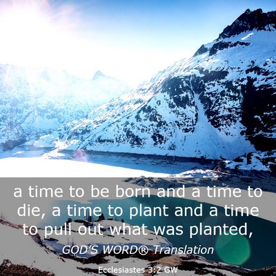 Picture 03 - Ecclesiastes 3:2 GW - a time to be born and a time to die, a time to - Bible Verse Picture