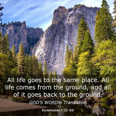 Picture 03 - Ecclesiastes 3:20 GW - All life goes to the same place. All life comes - Bible Verse Picture