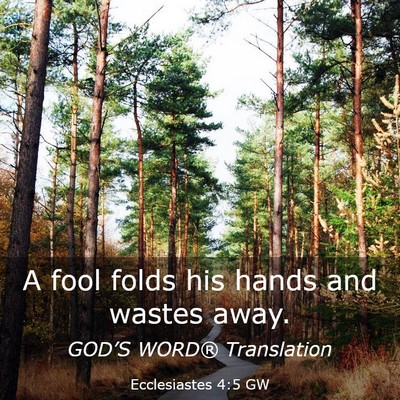 Picture 03 - Ecclesiastes 4:5 GW - A fool folds his hands and wastes - Bible Verse Picture