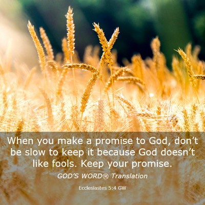 Picture 03 - Ecclesiastes 5:4 GW - When you make a promise to God, don’t be slow - Bible Verse Picture