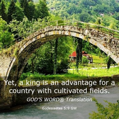 Picture 03 - Ecclesiastes 5:9 GW - Yet, a king is an advantage for a country with - Bible Verse Picture