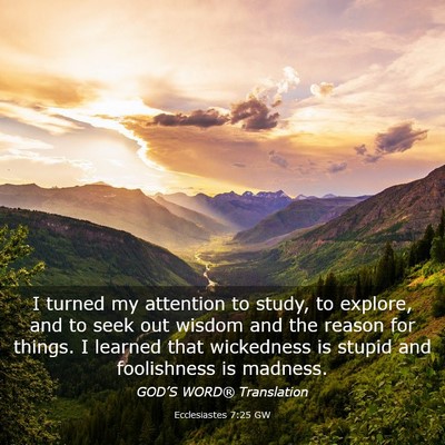 Picture 03 - Ecclesiastes 7:25 GW - I turned my attention to study, to explore, and - Bible Verse Picture