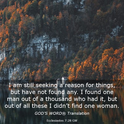 Picture 03 - Ecclesiastes 7:28 GW - I am still seeking a reason for things, but have - Bible Verse Picture