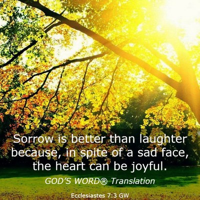 Picture 03 - Ecclesiastes 7:3 GW - Sorrow is better than laughter because, in spite - Bible Verse Picture