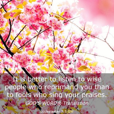 Picture 03 - Ecclesiastes 7:5 GW - It is better to listen to wise people who - Bible Verse Picture