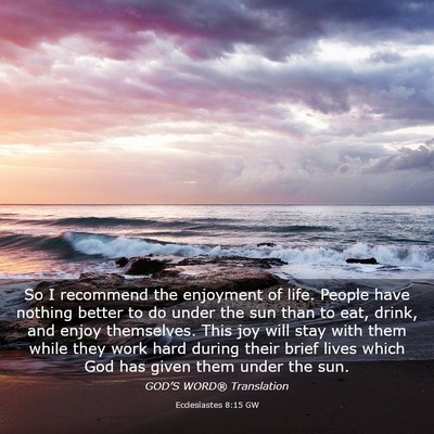 Picture 03 - Ecclesiastes 8:15 GW - So I recommend the enjoyment of life. People have - Bible Verse Picture