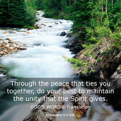 Picture 03 - Ephesians 4:3 GW - Through the peace that ties you together, do your - Bible Verse Picture