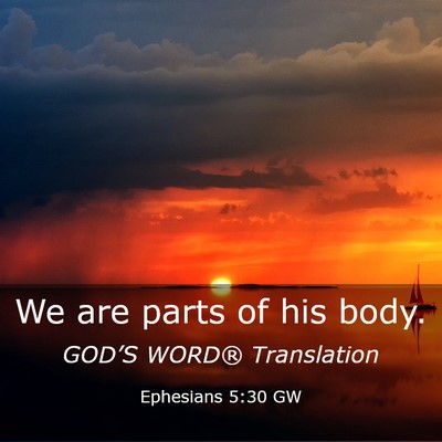 Picture 03 - Ephesians 5:30 GW - We are parts of his - Bible Verse Picture