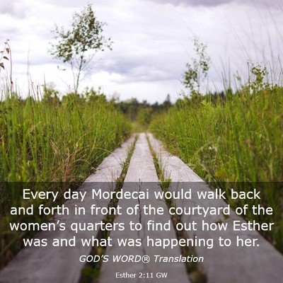 Picture 03 - Esther 2:11 GW - Every day Mordecai would walk back and forth in - Bible Verse Picture