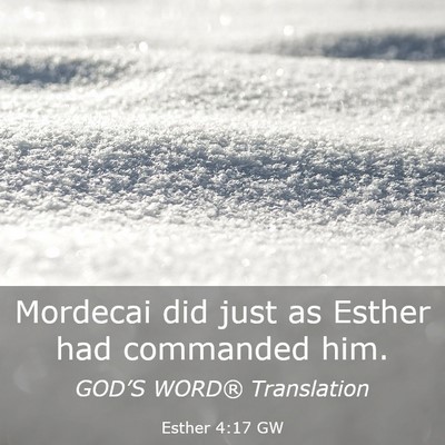 Picture 03 - Esther 4:17 GW - Mordecai did just as Esther had commanded - Bible Verse Picture