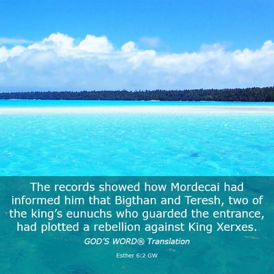 Picture 03 - Esther 6:2 GW - The records showed how Mordecai had informed him - Bible Verse Picture