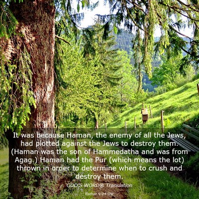 Picture 03 - Esther 9:24 GW - It was because Haman, the enemy of all the Jews, - Bible Verse Picture