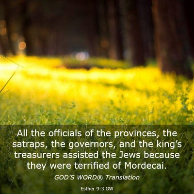Picture 03 - Esther 9:3 GW - All the officials of the provinces, the satraps, - Bible Verse Picture