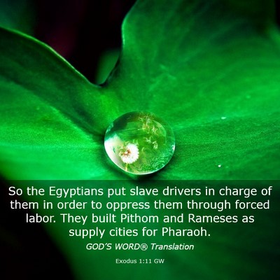 Picture 03 - Exodus 1:11 GW - So the Egyptians put slave drivers in charge of - Bible Verse Picture