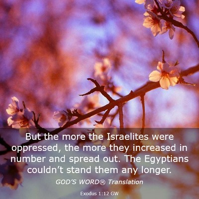 Picture 03 - Exodus 1:12 GW - But the more the Israelites were oppressed, the - Bible Verse Picture