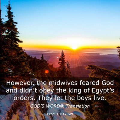 Picture 03 - Exodus 1:17 GW - However, the midwives feared God and didn’t - Bible Verse Picture