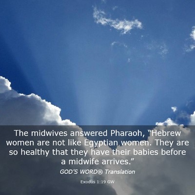 Picture 03 - Exodus 1:19 GW - The midwives answered Pharaoh, “Hebrew women - Bible Verse Picture