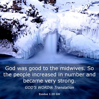 Picture 03 - Exodus 1:20 GW - God was good to the midwives. So the people - Bible Verse Picture