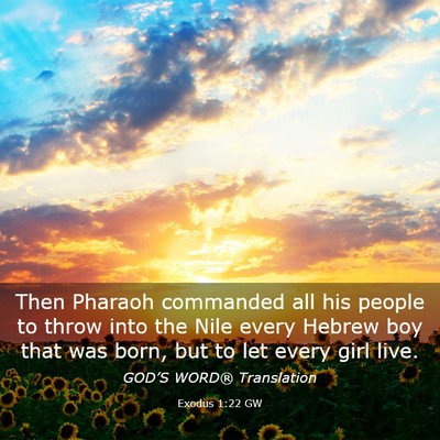 Picture 03 - Exodus 1:22 GW - Then Pharaoh commanded all his people to throw - Bible Verse Picture