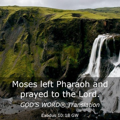 Picture 03 - Exodus 10:18 GW - Moses left Pharaoh and prayed to the - Bible Verse Picture