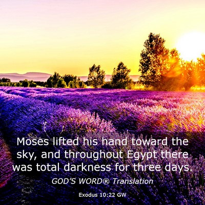 Picture 03 - Exodus 10:22 GW - Moses lifted his hand toward the sky, and - Bible Verse Picture