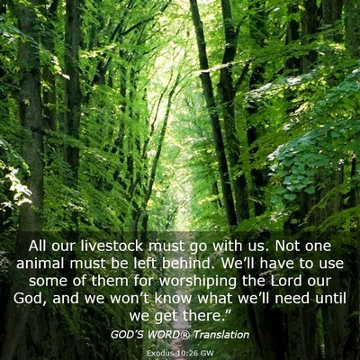 Picture 03 - Exodus 10:26 GW - All our livestock must go with us. Not one animal - Bible Verse Picture