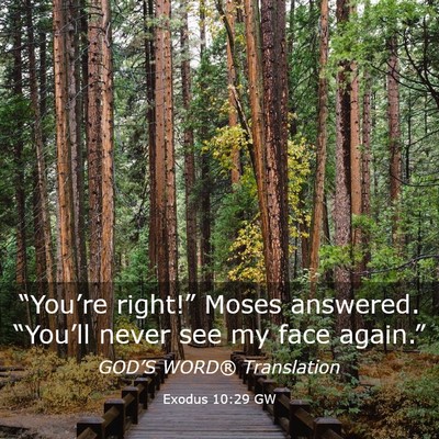 Picture 03 - Exodus 10:29 GW - “You’re right!” Moses answered. “You’ll - Bible Verse Picture
