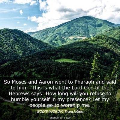 Picture 03 - Exodus 10:3 GW - So Moses and Aaron went to Pharaoh and said to - Bible Verse Picture