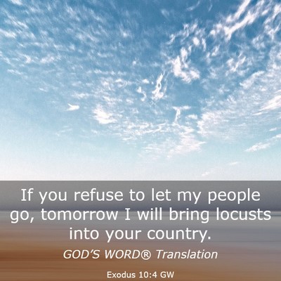 Picture 03 - Exodus 10:4 GW - If you refuse to let my people go, tomorrow I - Bible Verse Picture