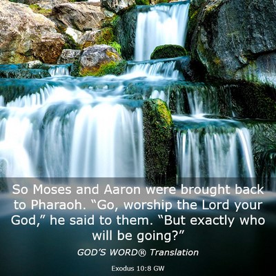 Picture 03 - Exodus 10:8 GW - So Moses and Aaron were brought back to Pharaoh. - Bible Verse Picture