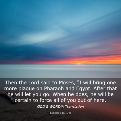 Picture 03 - Exodus 11:1 GW - Then the Lord said to Moses, “I will bring one - Bible Verse Picture