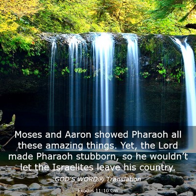 Picture 03 - Exodus 11:10 GW - Moses and Aaron showed Pharaoh all these amazing - Bible Verse Picture