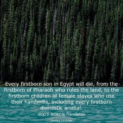 Picture 03 - Exodus 11:5 GW - Every firstborn son in Egypt will die, from the - Bible Verse Picture