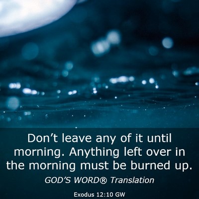 Picture 03 - Exodus 12:10 GW - Don’t leave any of it until morning. Anything - Bible Verse Picture