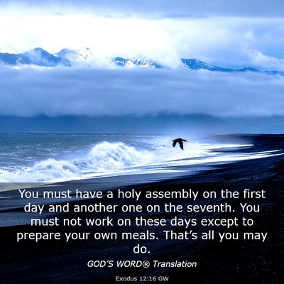 Picture 03 - Exodus 12:16 GW - You must have a holy assembly on the first day - Bible Verse Picture