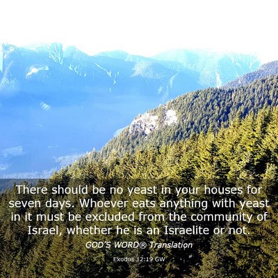 Picture 03 - Exodus 12:19 GW - There should be no yeast in your houses for seven - Bible Verse Picture