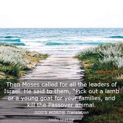Picture 03 - Exodus 12:21 GW - Then Moses called for all the leaders of Israel. - Bible Verse Picture