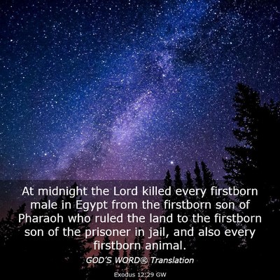 Picture 03 - Exodus 12:29 GW - At midnight the Lord killed every firstborn male - Bible Verse Picture