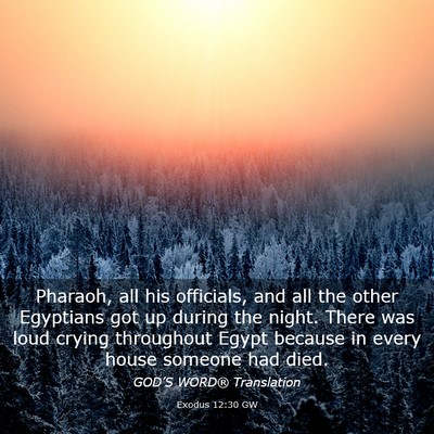 Picture 03 - Exodus 12:30 GW - Pharaoh, all his officials, and all the other - Bible Verse Picture
