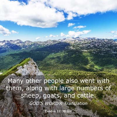 Picture 03 - Exodus 12:38 GW - Many other people also went with them, along with - Bible Verse Picture