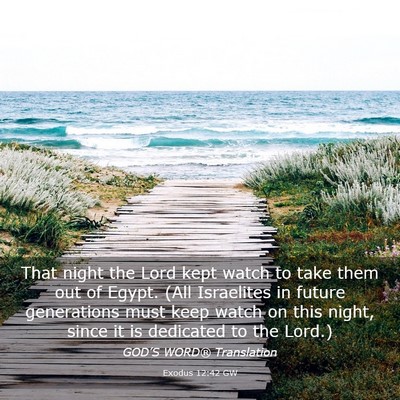 Picture 03 - Exodus 12:42 GW - That night the Lord kept watch to take them out - Bible Verse Picture