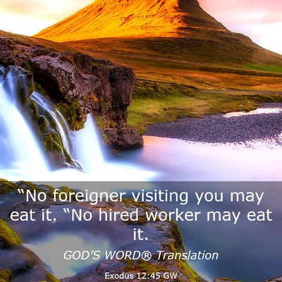 Picture 03 - Exodus 12:45 GW - “No foreigner visiting you may eat it. “No - Bible Verse Picture