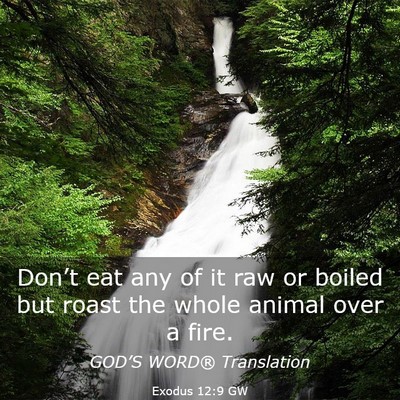 Picture 03 - Exodus 12:9 GW - Don’t eat any of it raw or boiled but roast the - Bible Verse Picture